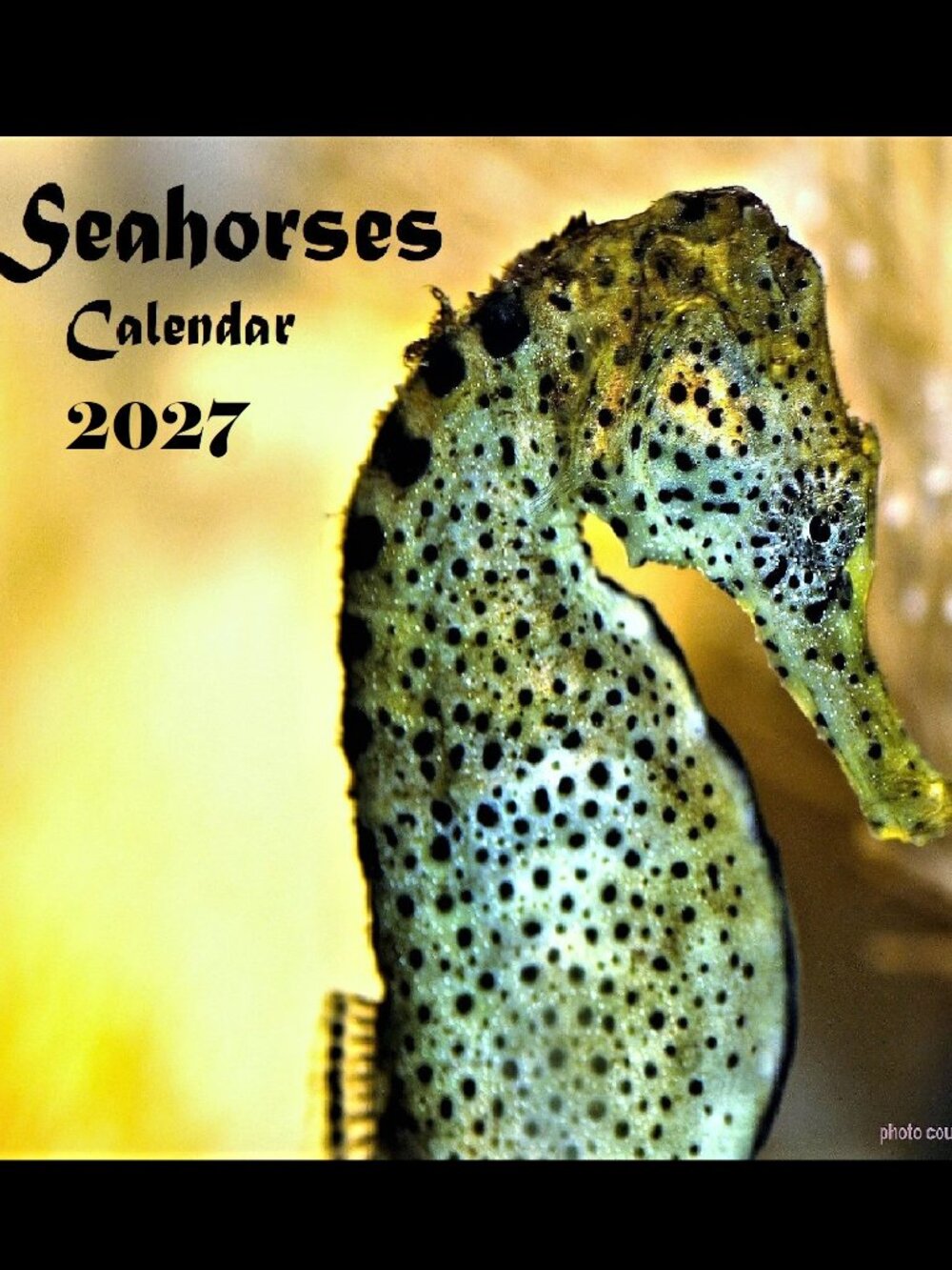 2027 Seahorse Calendar Ocean Marine Life Photography Coastal Decor Wall Calendar